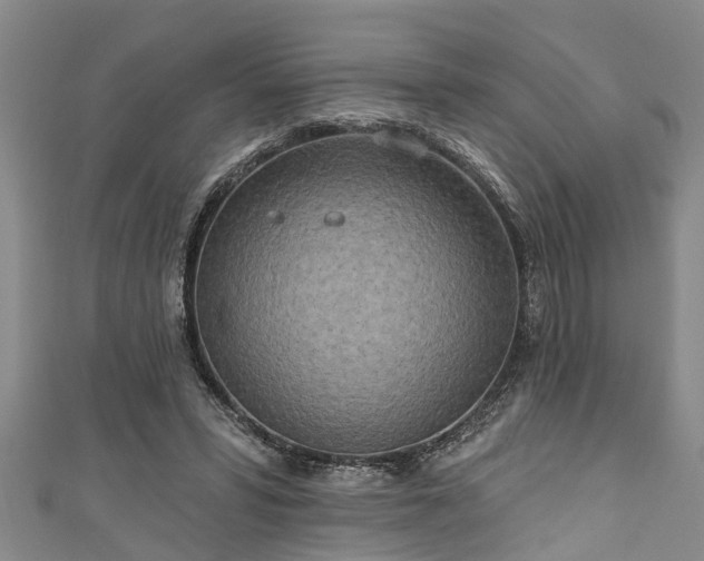 X0000111170399200907081219