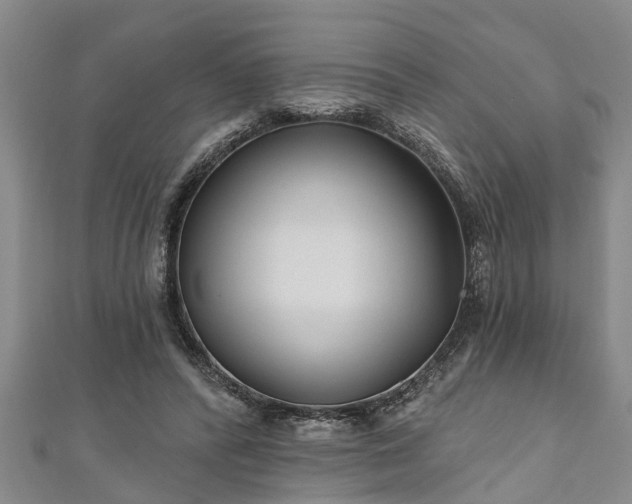 X0000111170400200907081219