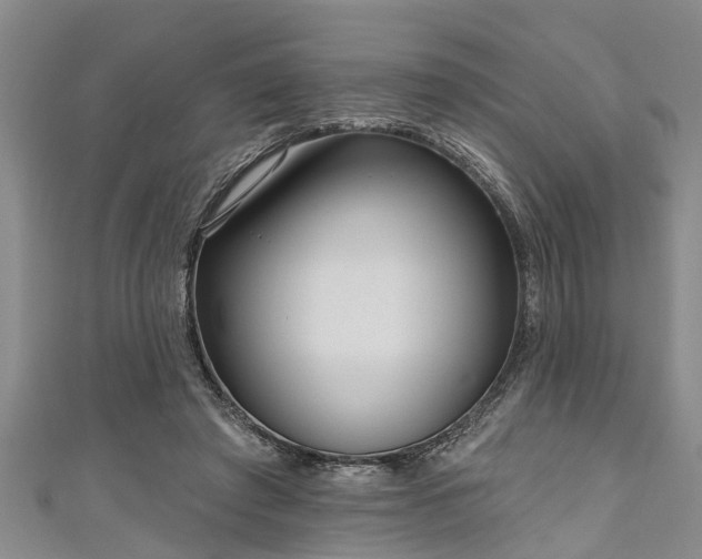 X0000111170401200907081219