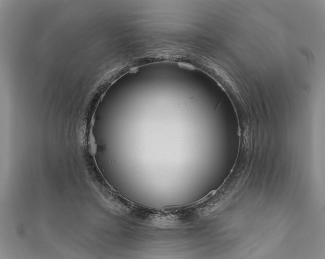 X0000111170403200907081219