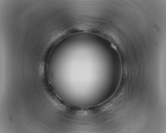 X0000111170404200907081219