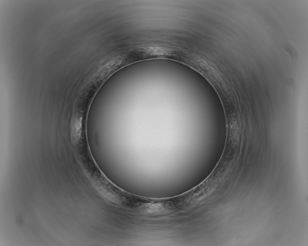 X0000111170406200907081219