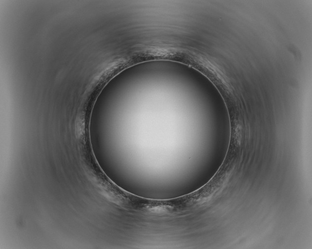 X0000111170407200907081219