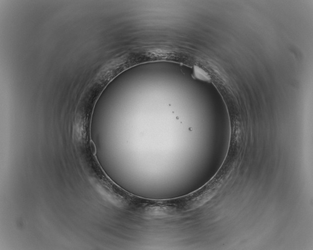 X0000111170408200907081219