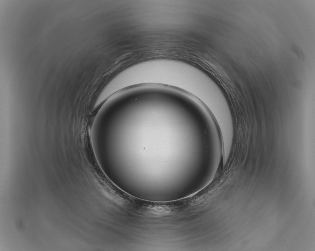 X0000111170409200907081219