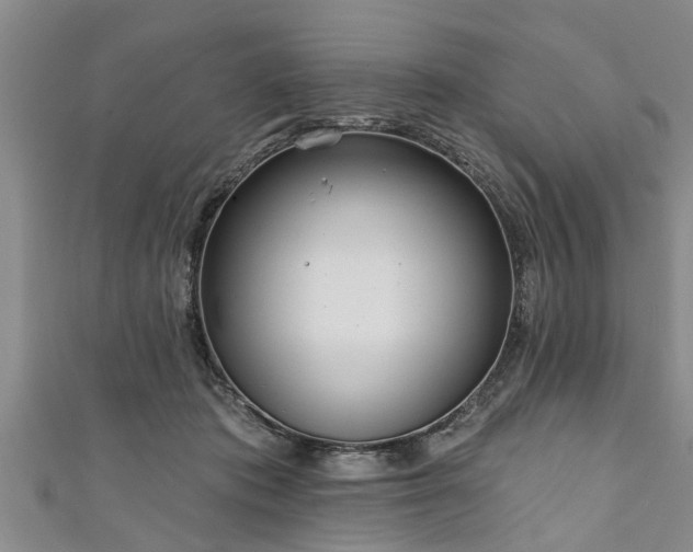 X0000111170413200907081219