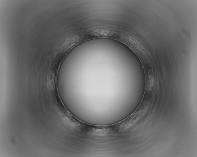 X0000111170414200907081219