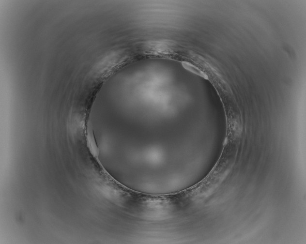 X0000111170415200907081219