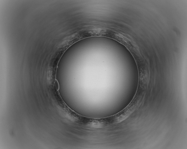 X0000111170416200907081218