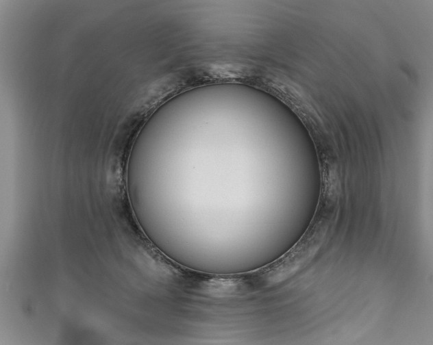 X0000111170418200907081218