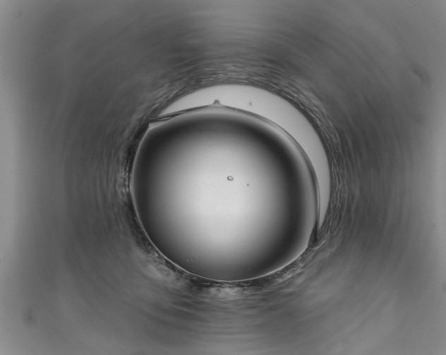 X0000111170419200907081218