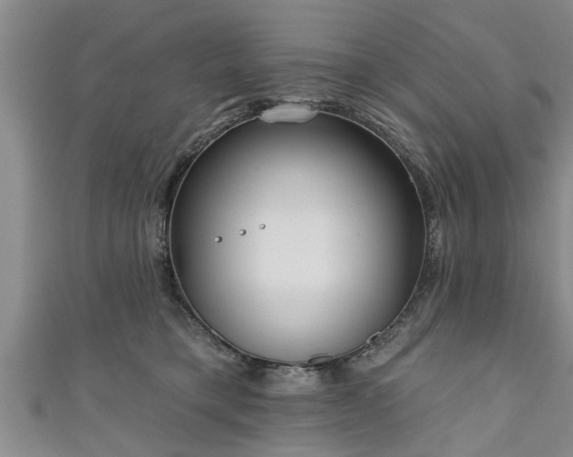 X0000111170421200907081218