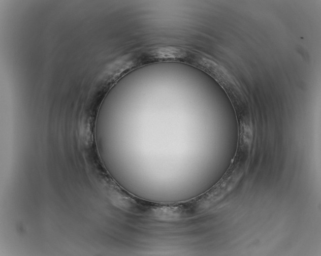 X0000111170422200907081218