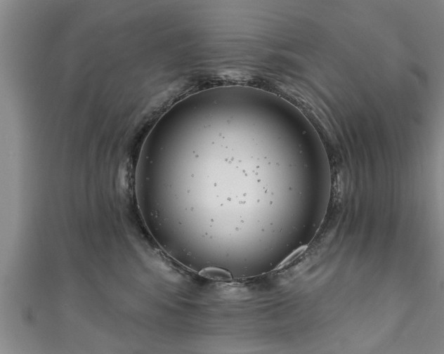 X0000111170424200907081218