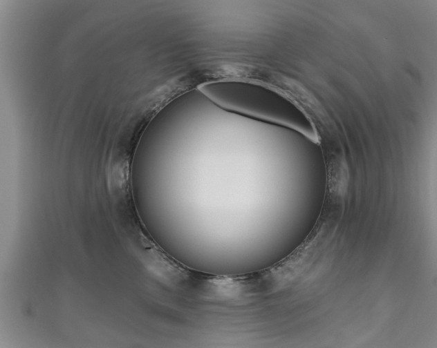 X0000111170425200907081218