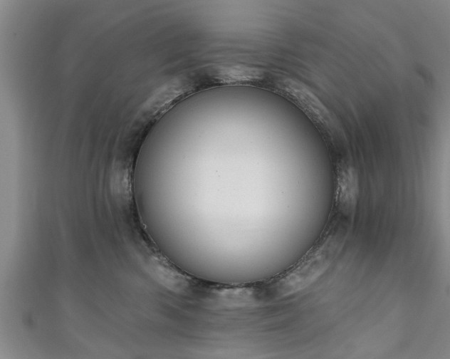 X0000111170426200907081218