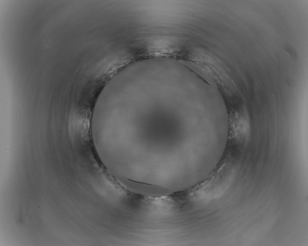 X0000111170427200907081218