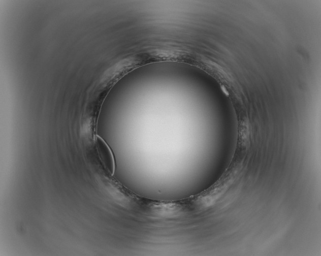 X0000111170428200907081218