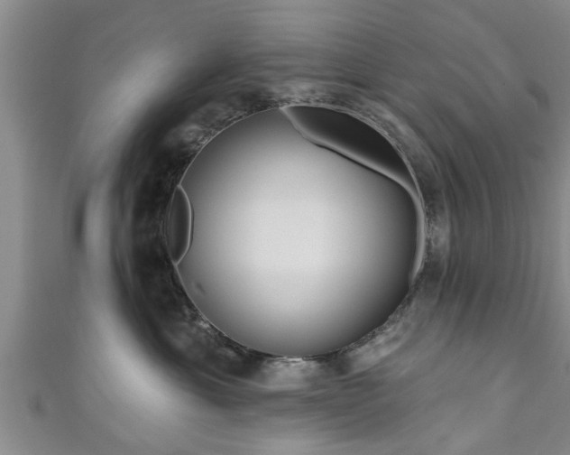 X0000111170429200907081218