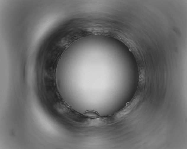 X0000111170430200907081218