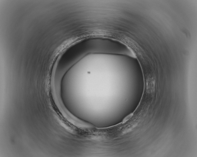 X0000111170436200907081218