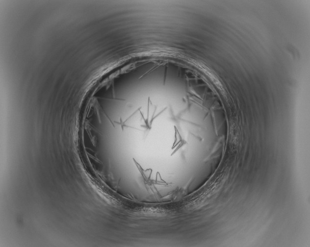 X0000111170437200907081218