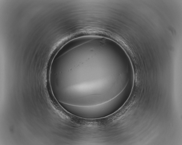 X0000111170438200907081218