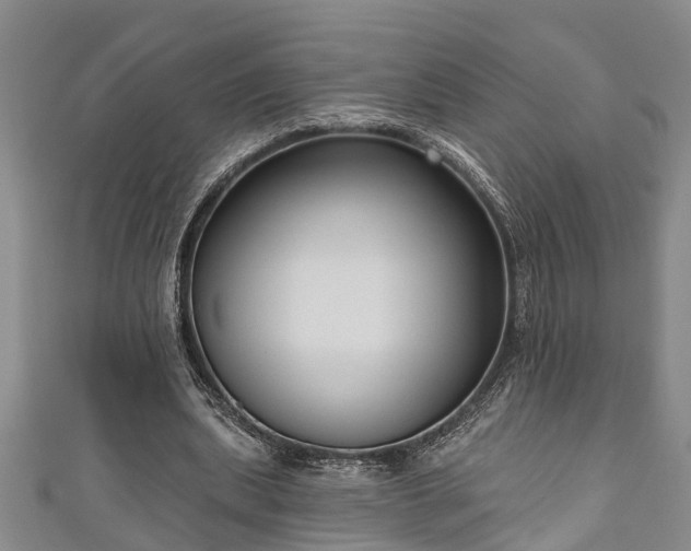 X0000111170439200907081218