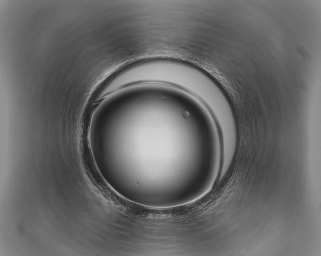 X0000111170440200907081218