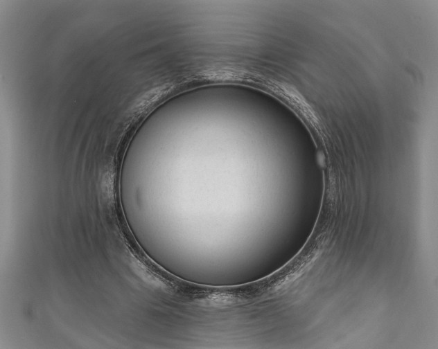 X0000111170441200907081218