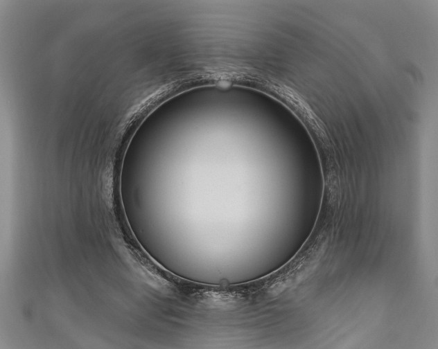 X0000111170442200907081218