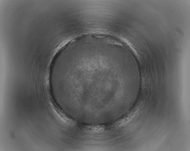 X0000111170443200907081218