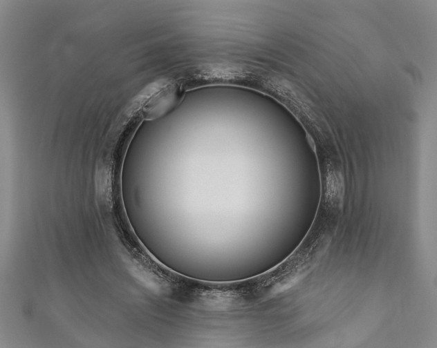 X0000111170444200907081218