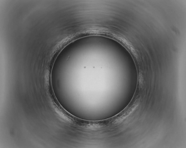 X0000111170445200907081218