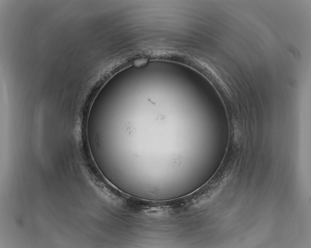 X0000111170447200907081218