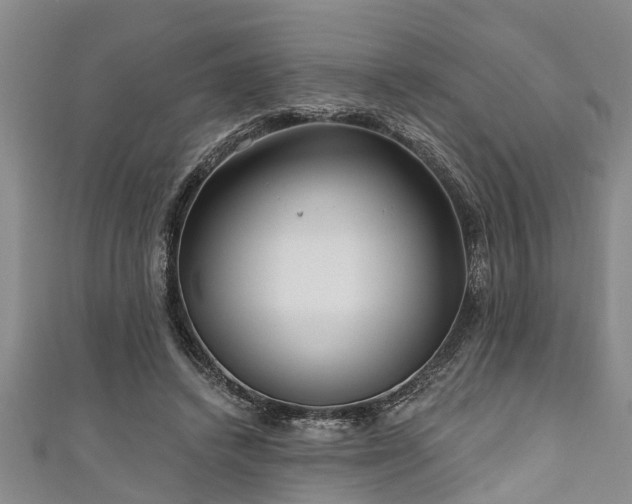 X0000111170448200907081218