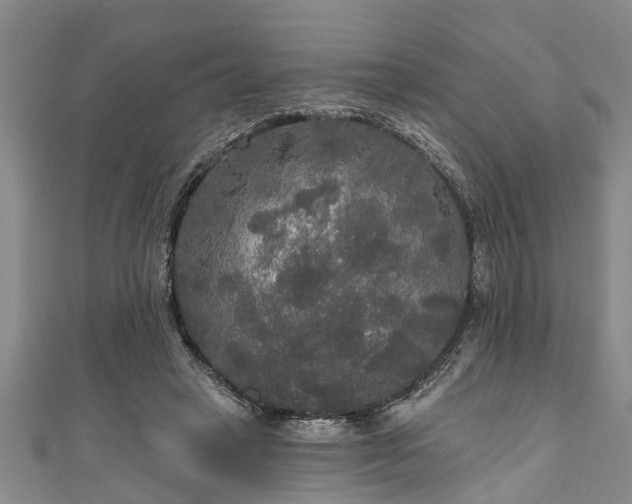 X0000111170449200907081218