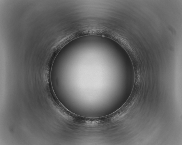 X0000111170450200907081218