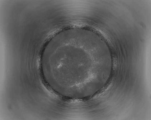 X0000111170451200907081218