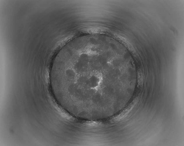 X0000111170453200907081218