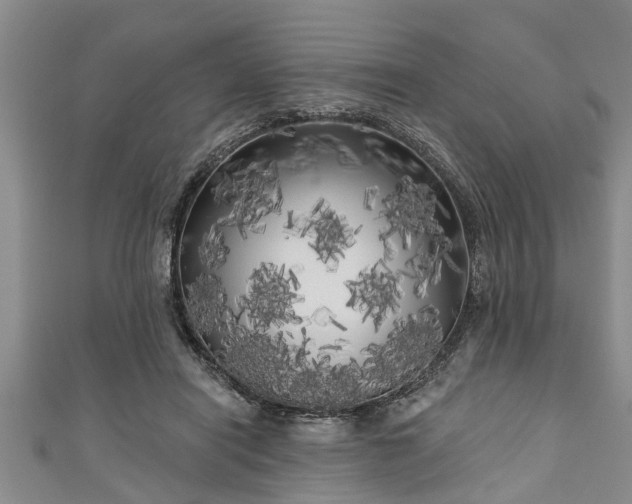 X0000111170454200907081218