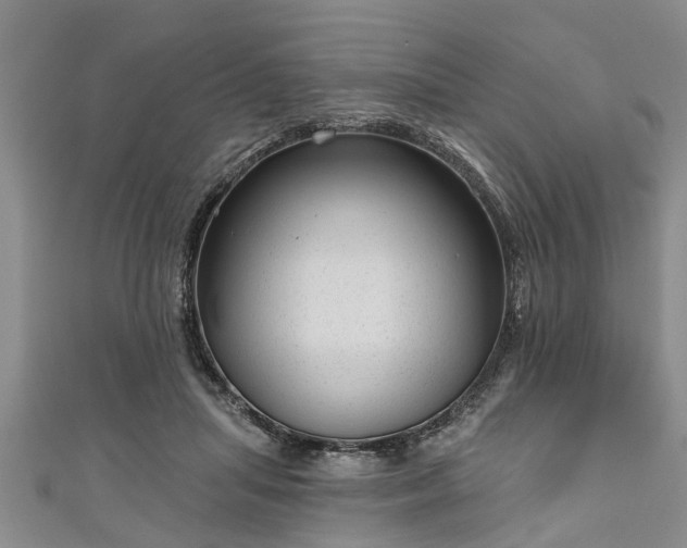 X0000111170455200907081218