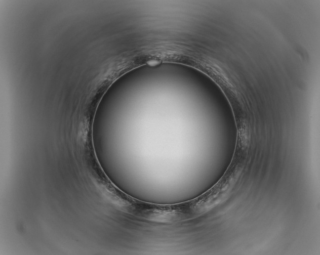 X0000111170458200907081218