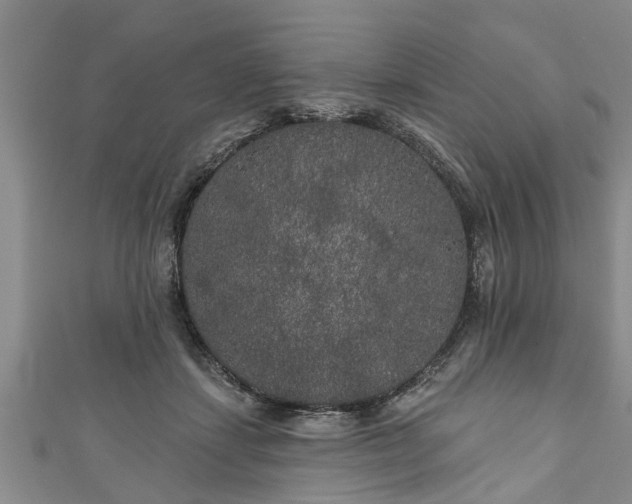 X0000111170459200907081218