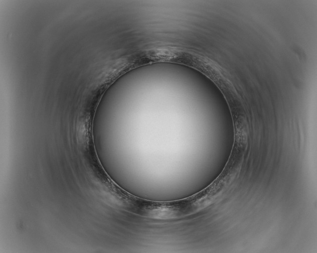 X0000111170460200907081218