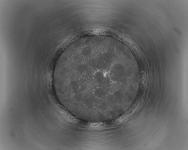 X0000111170461200907081218