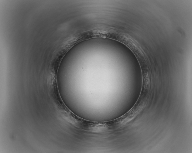 X0000111170463200907081218