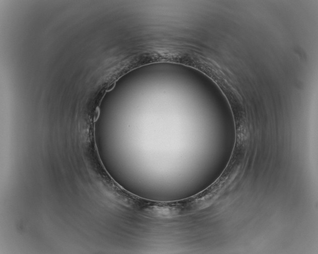 X0000111170464200907081218