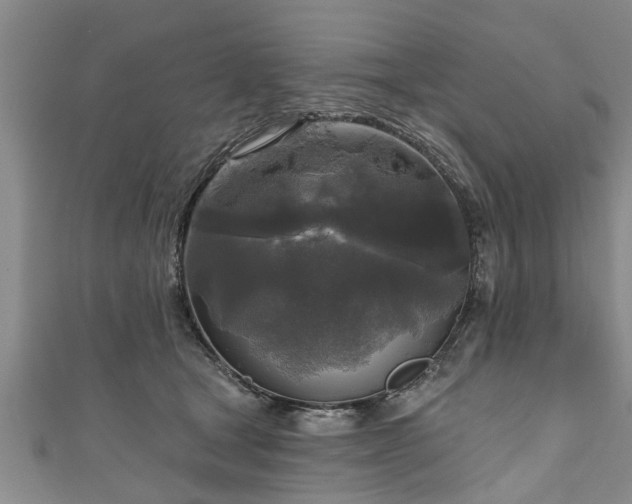 X0000111170465200907081218