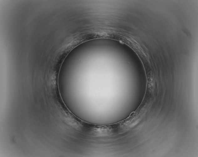 X0000111170466200907081218